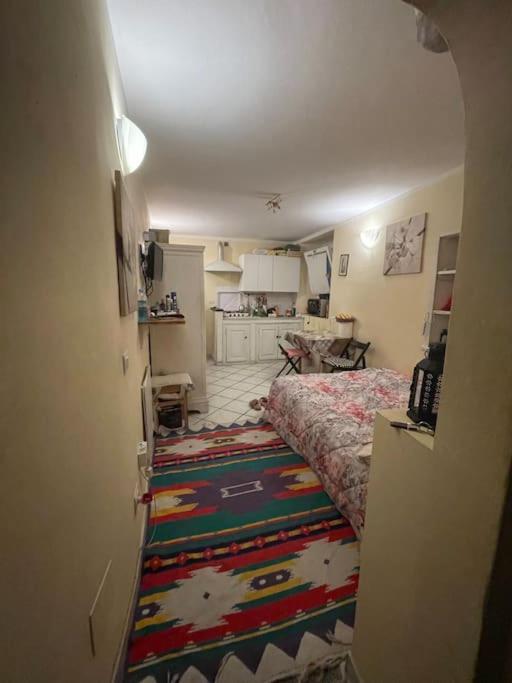 Monolocale Carino Apartment Флоренция Екстериор снимка